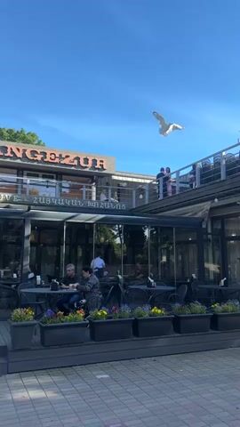This video captures a sunny day in Jūrmala, Latvia, with a bright blue sky and a few white clouds. The scene features an outdoor seating area of a restaurant or cafe. In the foreground, there are several tables and chairs set up, with planters filled with colorful flowers adding a touch of vibrancy. Some people are seated at the tables, appearing relaxed and engaged in conversation.

The mid-ground reveals a multi-level building that seems to house the establishment. The upper level has a balcony with a railing, where a couple is embracing, suggesting a romantic or celebratory moment. Other individuals are also visible on this level. The building's facade displays some text, with "GJUZUFU" and what appears to be Armenian script clearly visible.

In the sky, a bird, possibly a seagull, is soaring, adding a dynamic element to the otherwise tranquil scene. The overall atmosphere appears peaceful and leisurely, indicative of a pleasant daytime outing in a coastal resort town. The lighting suggests it is midday or early afternoon.