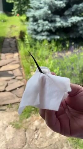 A person's hand is holding a white wipe with a thin, sharp black object protruding from it. A young person in a pink shirt and black shorts is in the background, looking surprised. The scene appears to be outdoors with greenery and a stone pathway.
