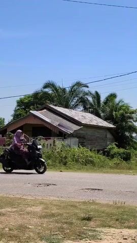 A woman wearing a purple hijab and a pink shirt rides a black motorcycle down a paved road. She is on the right side of the road, moving from left to right. The road has several potholes. Behind her, there is a house with a weathered wooden exterior and a grey, sloped roof. Lush green trees, including palm trees, surround the house. The sky is clear and blue.