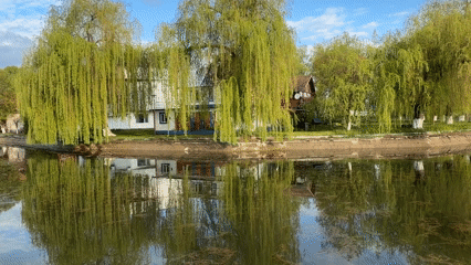 Quiet morning moments documented in Târgu Mureș, Romania