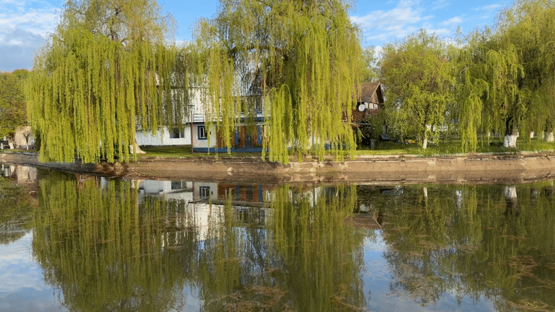 Quiet morning moments documented in Târgu Mureș, Romania