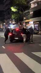 Three people push stalled car across Buenos Aires crosswalk