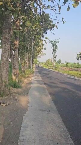 The video shows a paved road with a concrete sidewalk on the left. Trees line the sidewalk, and there is grass and dirt beside it. The road curves to the right in the distance. Two motorcycles are traveling away from the camera on the road. One motorcycle is ahead of the other, and both riders are wearing helmets. The sky is clear and blue. The sun is shining, casting shadows on the road and sidewalk. The overall scene is rural and peaceful.