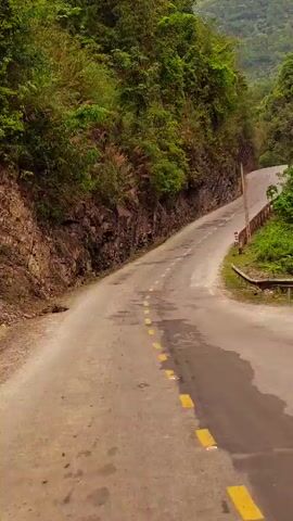 The video shows a winding asphalt road with yellow dotted lines, surrounded by lush green trees and mountains. The road curves through the landscape, revealing a distant mountain range under an overcast sky. The presence of telephone poles and a metal guardrail along the roadside suggests a route through a remote or rural area. No people or vehicles are visible in the frame.