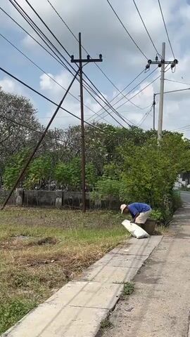 An older man wearing a blue t-shirt, beige shorts, and a tan hat is seen working outdoors. He is stooped over, holding a large white sack with green lettering, seemingly engaged in an activity related to its contents. The sack is positioned next to a low concrete structure. The man is standing on a paved surface, possibly a sidewalk or road, with a grassy area and some debris to his left. In the background, there are telephone poles with wires stretching across the frame, as well as trees and some low walls. The sky above is blue with scattered clouds. The scene appears to be in a rural or semi-rural setting, with evidence of infrastructure and natural elements.