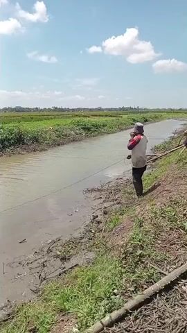 A person wearing a hat and a white shirt with red accents over dark pants stands on the muddy bank of a narrow canal. The person appears to be holding a fishing line, as it extends into the water. The canal is surrounded by green vegetation and in the distance, a flat landscape with crops stretches under a blue sky with scattered white clouds.