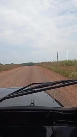 The video shows a first-person view from inside a vehicle driving on a dirt road. The road is wide and appears to be in a rural or undeveloped area. On either side of the road, there is dry grass and some scattered bushes. In the distance, there are trees forming a treeline. Utility poles with wires are visible along the right side of the road. The sky is overcast with light-colored clouds. The vehicle's windshield wipers are resting at the bottom of the windshield. The camera is focused on the road ahead and the surrounding environment.