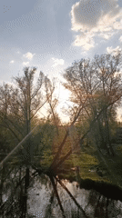 Woman on bridge observes peaceful river scene with birds