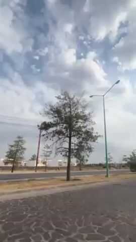 The video shows a street scene under a cloudy sky. A tall, green street lamp stands on the roadside. Trees line the street, and there are buildings visible in the background. The camera appears to be inside a vehicle, looking out the window. The vehicle seems to be moving.