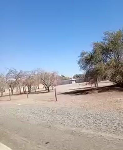 The video shows a street scene, likely taken from a moving vehicle. The sky is clear and blue.  At the start, there is a green sign that reads "ZONA POBLADA." The roadside is dirt and gravel, with some barren-looking trees. The video then shows a sign advertising "CEMENTO BLOQUETAS CADENAS" in Spanish.  A speed limit sign indicating 60 kilometers per hour is also visible.  The area appears to be a lightly populated residential area with fences, utility poles, and some small buildings visible in the background.  The sound suggests wind noise.