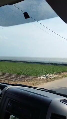 The video shows a view from inside a vehicle, looking out through the windshield. The vehicle is traveling on a paved road. To the left of the road are large, elongated greenhouses, some of which are partially visible. There are rows of green plants growing in the fields in front of the greenhouses. There are utility poles with wires running along the side of the road. Further down the road, a white van is parked on the side, and a dark-colored van is driving away from the camera. The sky is clear and blue with some wispy clouds. The sun appears to be shining, casting shadows on the road and the surrounding environment. The dashboard of the vehicle is visible in the foreground.