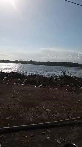 The video shows a wide shot of a body of water, likely a river or a lake, under a bright, sunny sky with some clouds. The water surface is reflective, catching the sunlight. On the far bank, there is a line of trees and some structures visible in the distance, possibly a bridge. The foreground consists of a dirt area with some debris and vegetation, including some tall grass or reeds along the water's edge. A thin wire runs across the top of the frame. The camera appears to be stationary or moving very slowly. The scene is natural and outdoors.