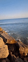 Sunset memories captured along Estepona's Mediterranean coast with stray cats