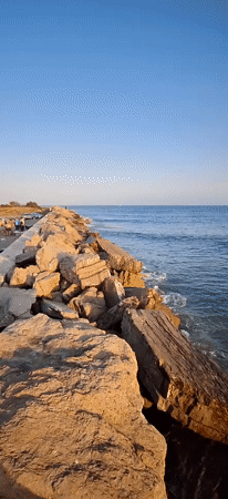 Sunset memories captured along Estepona's Mediterranean coast with stray cats