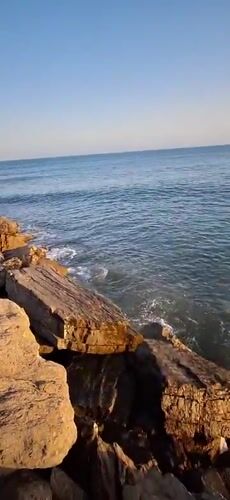 Sunset memories captured along Estepona's Mediterranean coast with stray cats