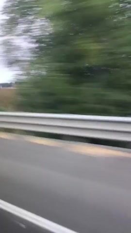 The video is a first-person perspective from a moving vehicle, likely a car or bus, showing a rural landscape through the window. The foreground consists of a grey road and a white metal guardrail. Beyond the guardrail, a field with brown soil is visible, followed by green trees and vegetation. The sky is overcast. The camera motion is slightly shaky, indicating movement. The video is short and appears to capture a fleeting view of the passing scenery.