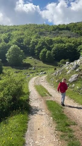 A young boy in a red jacket and grey pants is walking away from the camera along a dirt and gravel path. The path curves slightly uphill and leads toward a forested hillside under a sky with some fluffy clouds. The boy is walking at a moderate pace, and there's someone else walking further up the path in the distance. There are green meadows on either side of the path, dotted with yellow flowers and some rocky outcrops. The scene appears to be in a rural, mountainous area.