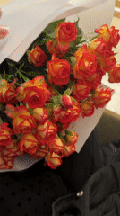 Urban moments: flowers, wet streets, upscale interiors observed