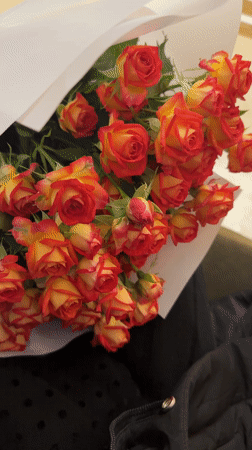 Urban moments: flowers, wet streets, upscale interiors observed