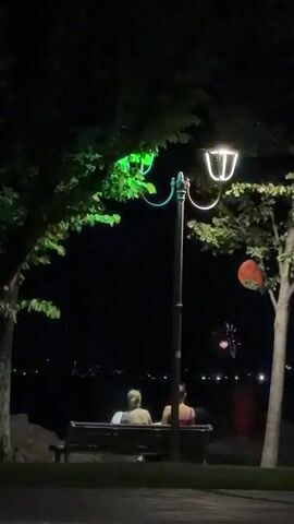 Two individuals are seated on a park bench at night, facing away from the camera and towards a body of water. They are positioned under a decorative lamp post, with one individual on the left and the other on the right. The lamp post is illuminated, with green lights adorning the top of its pole and white lights within the lamp fixture. Trees with foliage surround the bench and lamp post, with the leaves of the tree on the left casting shadows. In the background, across the water, a display of colorful fireworks is visible. The sky is dark, and the water reflects the distant lights.