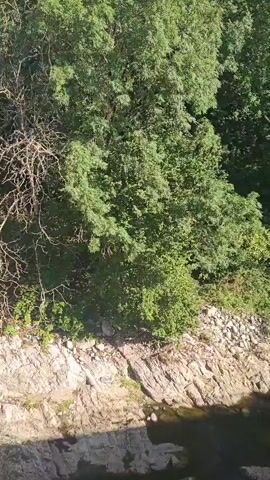 The video shows a scenic view of a river flowing through a rocky, vegetated landscape with mountains in the background. The camera pans across the scene, capturing the natural beauty of the area. The riverbanks are lined with rocks and trees, and the water appears clear. The mountains are covered in lush greenery, and the sky is partly cloudy. The overall impression is one of peace and tranquility.