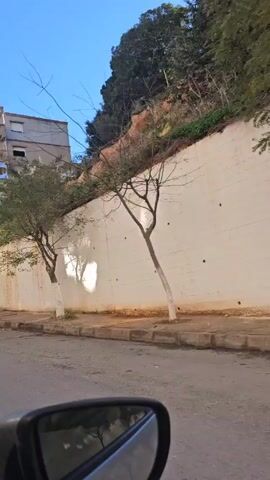 The video shows a view from inside a car driving along a street. On the right side of the street is a high, white wall, stained with what appears to be water marks. There are a few small trees planted in front of the wall, their trunks painted white at the base. Above the wall is a hillside covered in dense greenery. On the left side of the street, a grey apartment building is visible. The road itself is paved but appears worn. A car's side mirror is visible in the foreground, providing the perspective. The sky is blue.