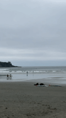 Surfers enjoy moderate waves at Tofino beach despite overcast conditions