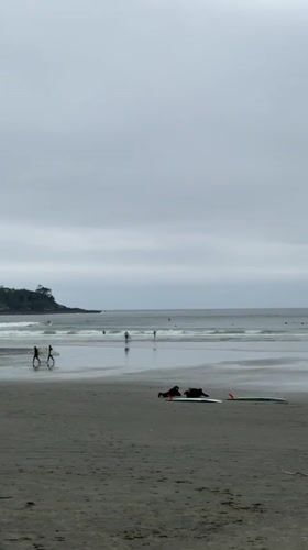 Surfers enjoy moderate waves at Tofino beach despite overcast conditions