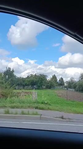 A short video captures a view from inside a vehicle traveling along a road. The camera is positioned to look out of the side window. The landscape outside consists of green fields, trees, and a cloudy blue sky. In the foreground, the dark interior of the car's window frame and dashboard are visible, creating a sense of motion. The scene appears to be rural or suburban, with hints of houses and fences among the trees. The video is brief, showing the passing scenery without any notable events or individuals.