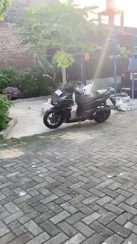 A black and white cat sits on the black seat of a parked black Honda Vario scooter. The motorcycle is parked on a grey herringbone-patterned brick path in a residential outdoor space, which is also grassy, with brick walls, vegetation, a water tower, and hanging laundry.  The cat is white with black spots and is sitting calmly and looking around. The scooter appears to be new and is clean. The scene is lit by natural sunlight.