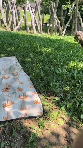 The video shows a picnic blanket with a hat on it, placed on the grass in a park. The blanket is white with an orange palm tree pattern. Behind the blanket, there is a fence made of wooden poles. The park is lush with green grass and trees, and the sun is shining, casting shadows. In the background, there are some buildings and hills.