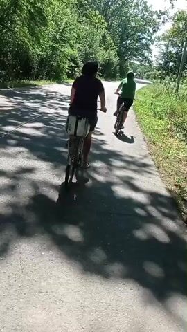 Two people are riding bicycles down a paved road lined with trees and grass. The camera is positioned behind the cyclists, showing their backs as they pedal away. The sunlight casts shadows on the road, indicating it is daytime. The road appears to be a rural or suburban area, with no other vehicles or pedestrians visible. The video is shot from a moving perspective, suggesting the camera is also on a bicycle or being carried by someone riding.