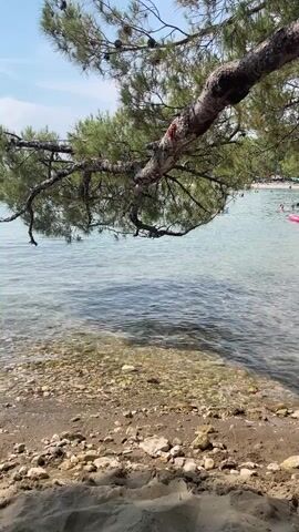 This media file captures a serene beach scene in Crikvenica, Croatia. The foreground is dominated by sandy beach with scattered rocks, leading to the clear, shallow water. A large pine tree branch, laden with green needles and pinecones, extends from the upper left of the frame, casting a gentle shadow over the water.

In the distance, the calm, turquoise sea stretches towards the horizon. Several people can be seen enjoying the water, with some swimming and others relaxing on the shore, which appears to be a pebble beach further down. A pink inflatable float is visible in the water. The sky above is a clear blue with a few wispy clouds, suggesting pleasant weather.

The scene evokes a sense of tranquility and relaxation, characteristic of a summer day at the beach. The lighting indicates it is likely daytime, possibly late morning or early afternoon, given the brightness and the angle of the shadows. The presence of the pine tree and the clear, calm waters are strong cues for a Mediterranean coastal location. No visible text is present in the media.