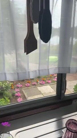 The video shows a view through a window onto a backyard leading to a body of water. The hand of an unseen person partially blocks the view initially. The camera then adjusts to reveal a garden with colorful flowers, a checkered stone pathway, a green turtle-shaped sandbox, a small boat on the water’s edge, and trees lining the far side of the water. A wind spinner is visible near the sandbox. The sky is overcast.