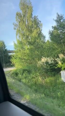 The video shows a view from inside a vehicle moving along a road. The road curves to the left, bordered by lush green vegetation and trees on the right. Tall trees, possibly birch, with green leaves dominate the foreground and mid-ground. The sky is blue with some clouds. In the distance, a house or building is partially visible through the trees. The lighting suggests it is daytime, likely in the late afternoon or early evening due to the long shadows and the warm sunlight illuminating the foliage. The camera is positioned to capture the scenery outside the vehicle's window.