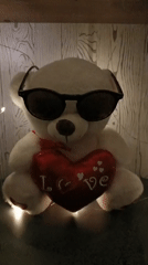 Teddy bear with sunglasses holds love pillow in Belarus