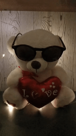 Teddy bear with sunglasses holds love pillow in Belarus