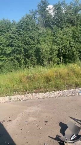 A white sedan is in a ditch off the side of a dirt road. The car is angled towards the trees and appears to have sustained front-end damage. Debris, possibly from the car, is scattered on the road. A person in a black t-shirt and grey pants is walking away from the camera, towards the ditch. The background is a dense line of trees under a clear blue sky.