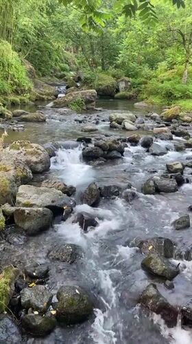 Forest stream and parked vehicle in Khala, Georgia