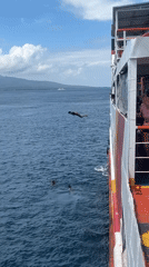 Ferry operations and passenger activities documented at Ketapang port