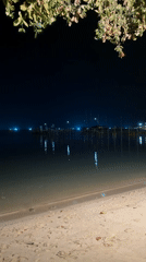 Evening dining captured at beachside restaurant in Thailand
