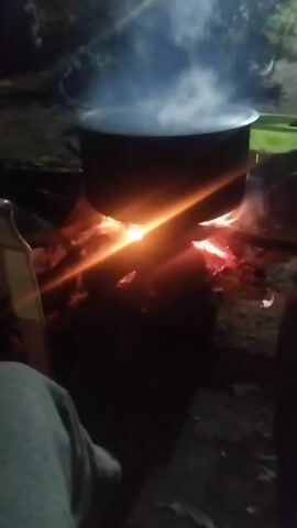 Here is a description of the video:

The video is dark and shaky. In the initial frame, a campfire burns with a pot hanging above it. A person sits in a chair nearby, wearing gray pants. A white dog lies on the person's lap. The person moves, and the dog jumps off the lap and onto the ground. The dog walks away. The video ends.