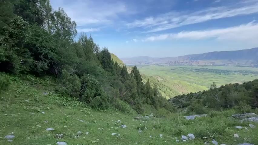 A panoramic view of a lush green valley framed by trees and mountains under a partly cloudy sky. The foreground features a grassy slope with scattered rocks and dense green foliage, transitioning into a steeper, tree-covered hillside on the left. Tall, dark green coniferous trees dominate the mid-ground, interspersed with lighter green shrubs. Beyond the trees, the valley opens up, revealing extensive fields of varying shades of green, indicative of agricultural activity. In the distance, rugged, barren mountains form the horizon, their muted tones contrasting with the vibrant green of the valley. The sky is a bright blue, streaked with wispy white clouds. The lighting suggests daytime, likely morning or afternoon, with soft shadows indicating a gentle sun. There are no people or animals visible in the scene.