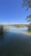 Still waters and reeds at a quiet lake near Vila-sana