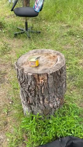 A small black and white butterfly lands on the edge of a can of corn placed on a tree stump. The can is yellow with Russian text and an image of corn. A wooden stick rests across the top of the stump. The stump is rough-barked and sits in a grassy area with some out-of-focus greenery in the background. A black office chair is visible in the upper left corner of the frame.