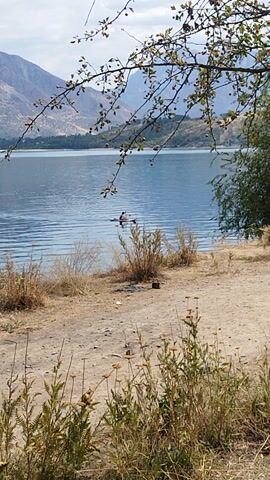 A person is kayaking on a calm lake. The water is a deep blue and reflects the sky and surrounding hills. The shoreline is sandy with patches of dry grass and bushes. In the foreground, tree branches with small green leaves and some berries hang over the water. In the background, a large, barren mountain rises from the far side of the lake, with a lighter green slope leading down to the water. The sky is mostly cloudy, suggesting it could be late afternoon or early morning. The scene conveys a sense of peace and solitude. The orientation of the video is vertical.