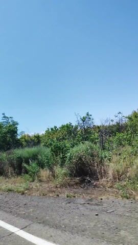 A first-person point-of-view of a rural road in Myasnikyan, Armenia. The road is paved and has a white line on the right side. On the left side of the road, there is a dense forest of green trees and bushes under a clear blue sky. The camera is moving forward, indicating travel. The weather is sunny and clear. No people or animals are visible.