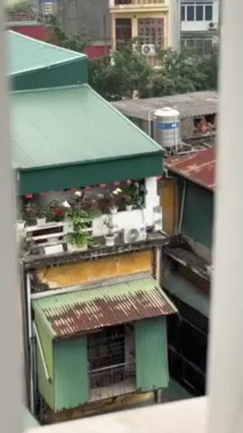 The video shows a view from a window of several buildings. The buildings appear to be in a dense urban area, with green and rusted roofs, an air conditioner, and plants on a balcony. There is a water tank visible on a nearby rooftop. A person is partly visible behind the tank. The window frame provides the foreground.