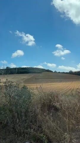 The video shows a view of a rural landscape under a bright blue sky with scattered white clouds. In the foreground, dry grass and stalks of plants are visible, suggesting a dry or autumnal season. Behind the foreground plants, there are rolling hills with fields that appear to have been recently harvested, showing lines from agricultural machinery. A dark line of trees forms a treeline along the crest of the furthest hill. The scene is static, with no visible people or animals. The light suggests it is daytime, likely midday or afternoon.