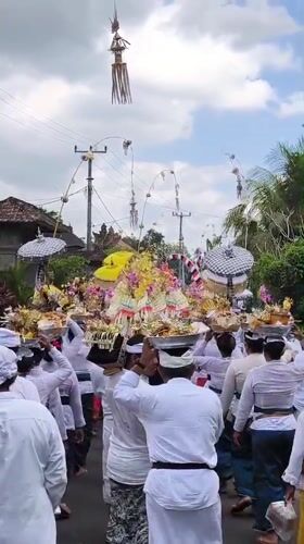 Traditional Balinese procession moves through Kerambitan streets